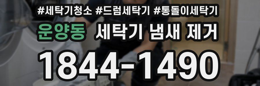 운양동 세탁기 냄새 제거