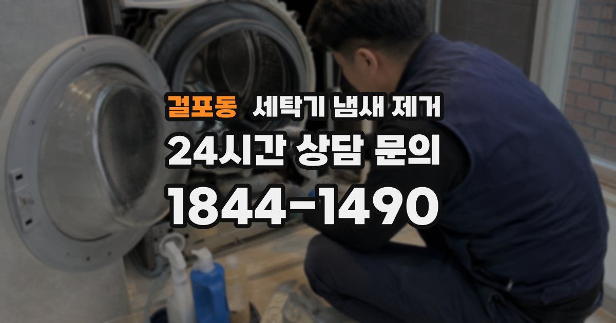 걸포동 세탁기 냄새 제거