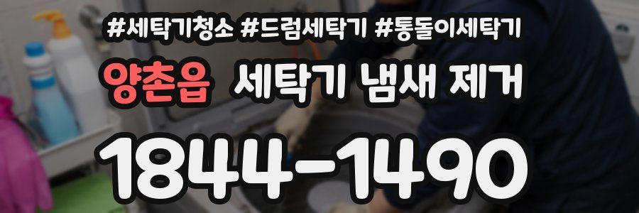 양촌읍 세탁기 냄새 제거