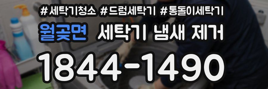 월곶면 세탁기 냄새 제거