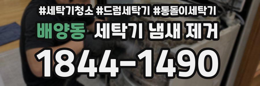 배양동 세탁기 냄새 제거