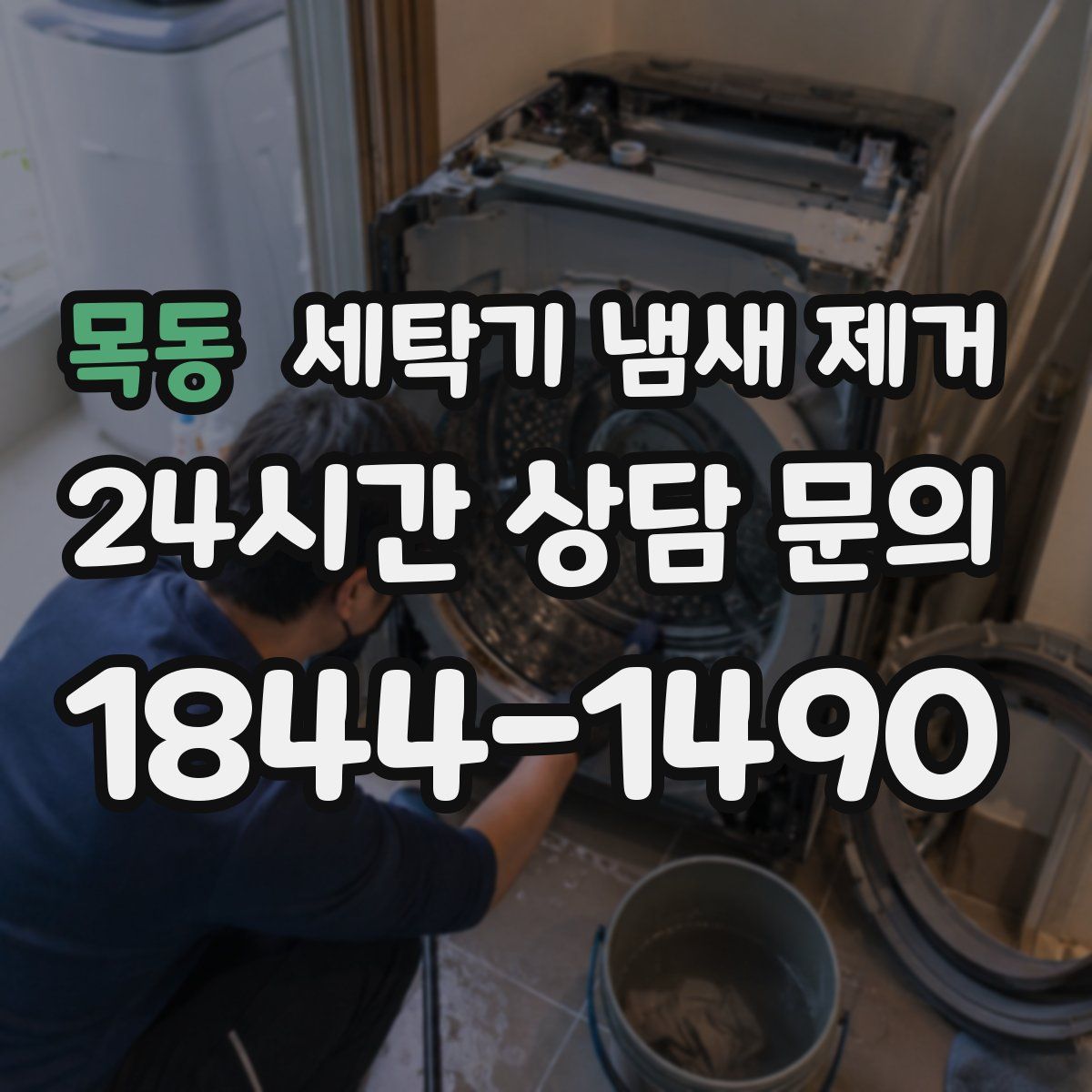 목동 세탁기 냄새 제거