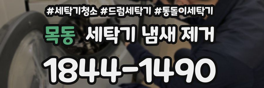 목동 세탁기 냄새 제거
