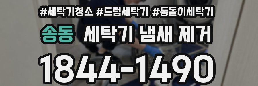 송동 세탁기 냄새 제거