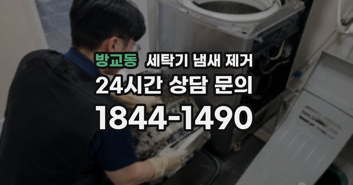 방교동 세탁기 냄새 제거