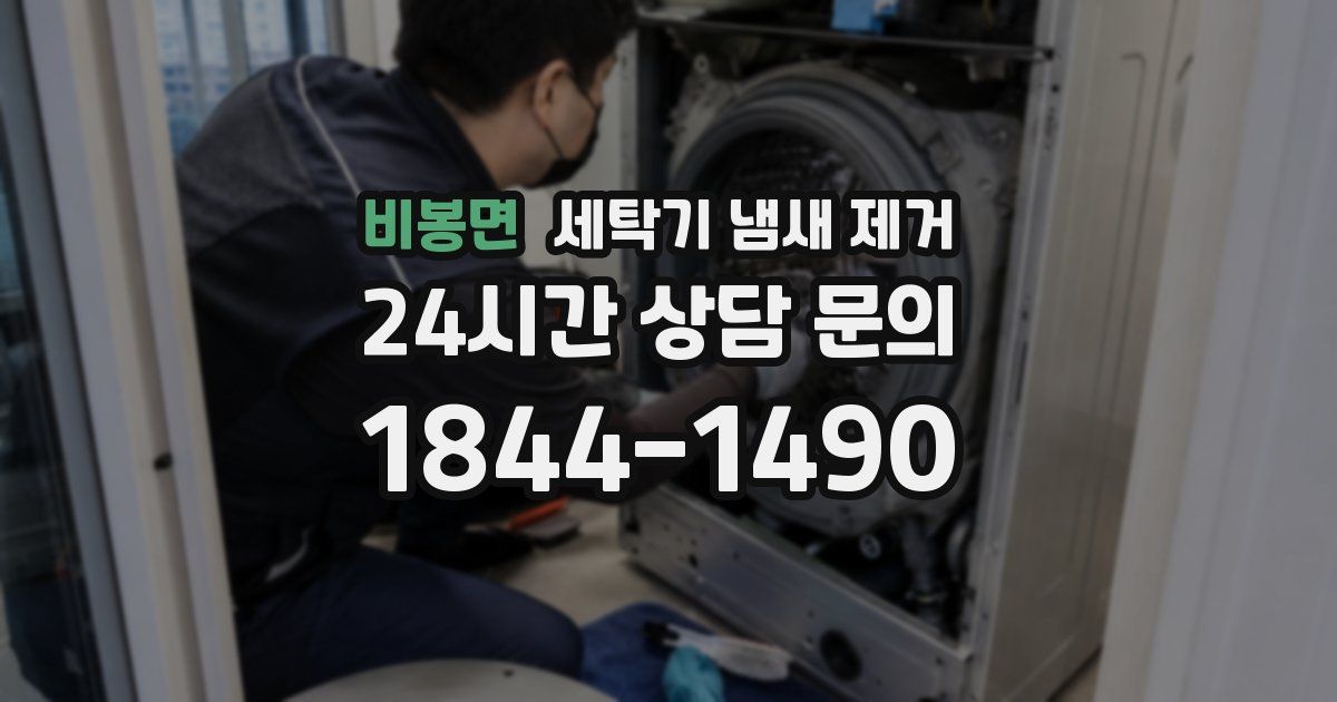 비봉면 세탁기 냄새 제거