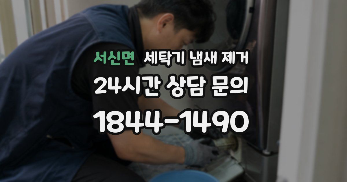 서신면 세탁기 냄새 제거