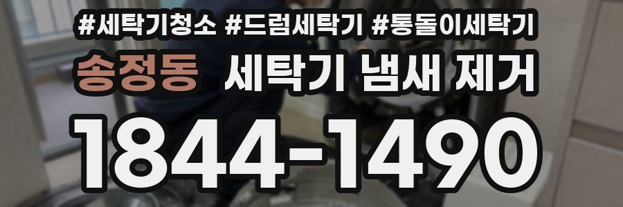 송정동 세탁기 냄새 제거