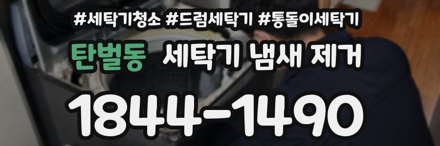 탄벌동 세탁기 냄새 제거