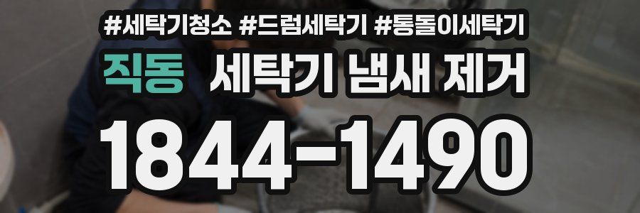 직동 세탁기 냄새 제거
