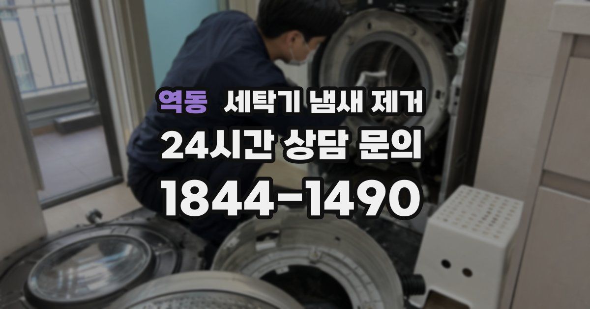 역동 세탁기 냄새 제거
