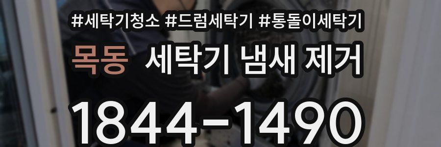 목동 세탁기 냄새 제거
