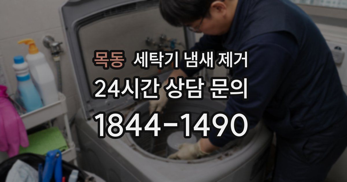 목동 세탁기 냄새 제거