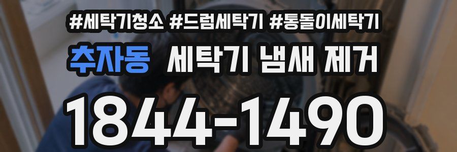 추자동 세탁기 냄새 제거