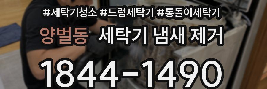 양벌동 세탁기 냄새 제거