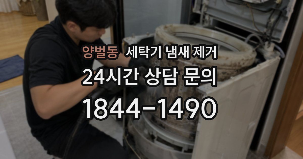 양벌동 세탁기 냄새 제거
