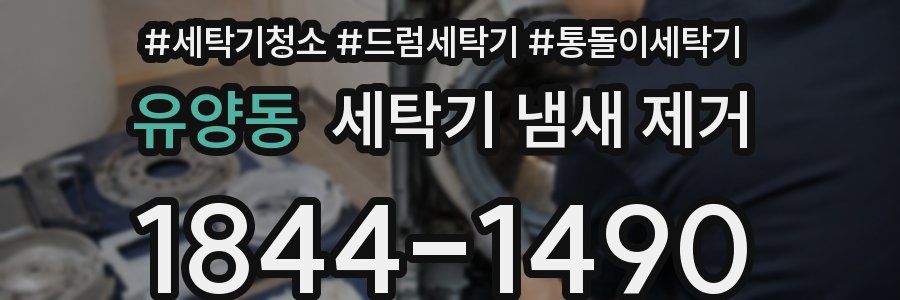 유양동 세탁기 냄새 제거