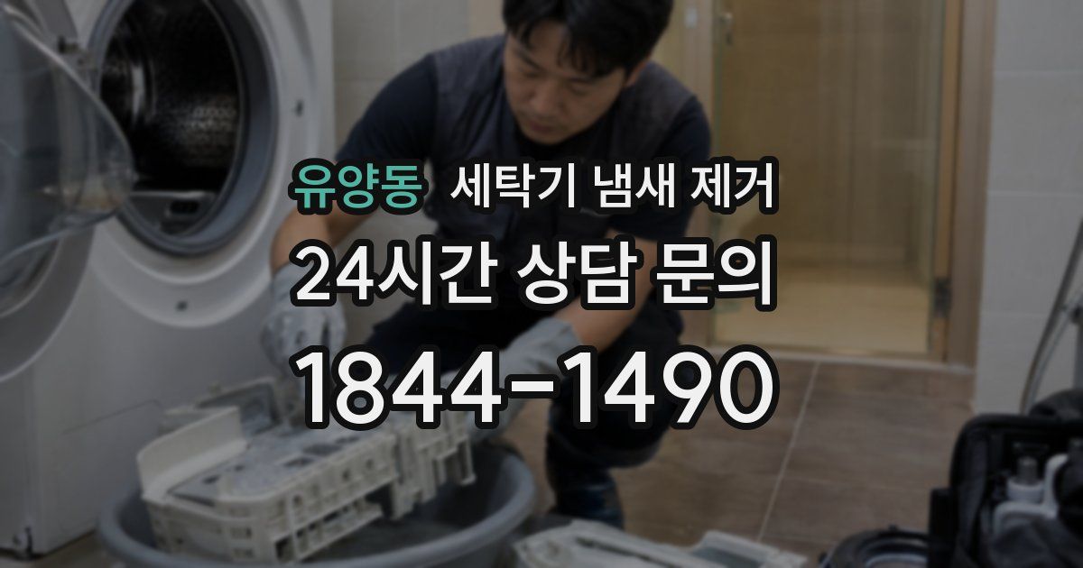 유양동 세탁기 냄새 제거