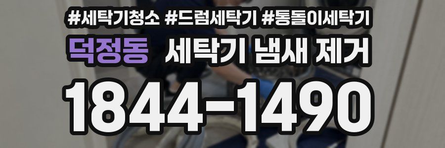 덕정동 세탁기 냄새 제거