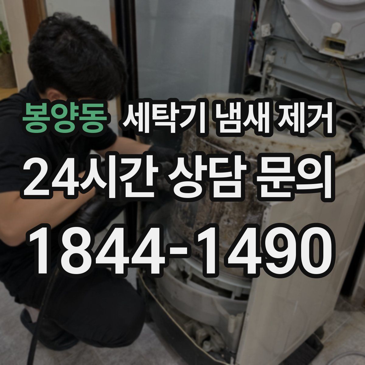 봉양동 세탁기 냄새 제거