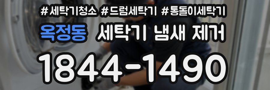 옥정동 세탁기 냄새 제거