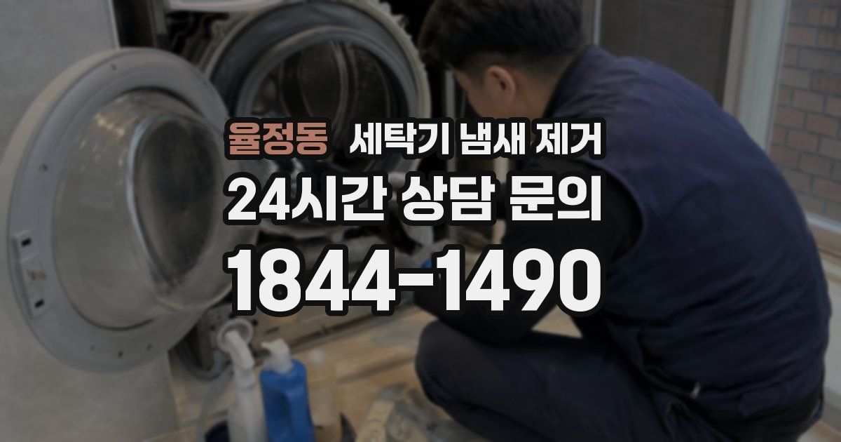 율정동 세탁기 냄새 제거