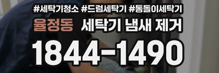 율정동 세탁기 냄새 제거