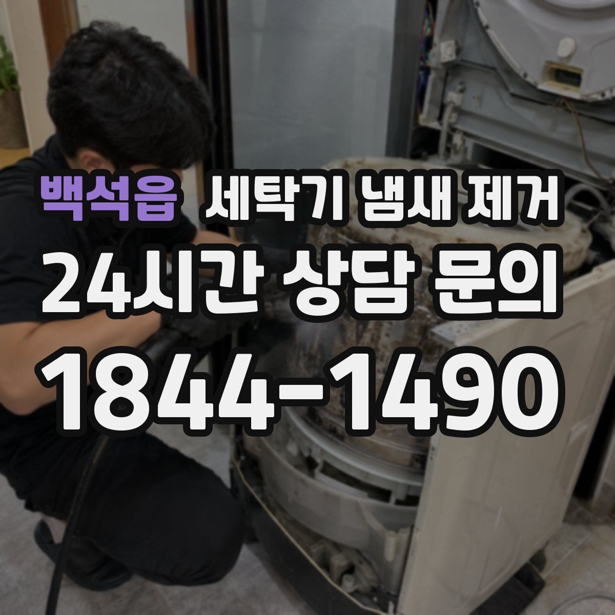 백석읍 세탁기 냄새 제거