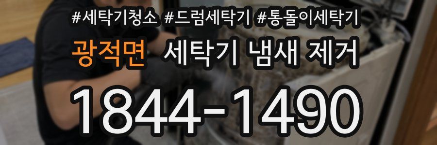광적면 세탁기 냄새 제거