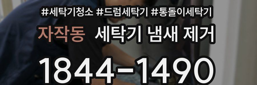 자작동 세탁기 냄새 제거