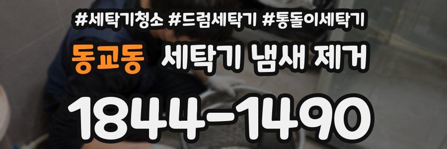 동교동 세탁기 냄새 제거
