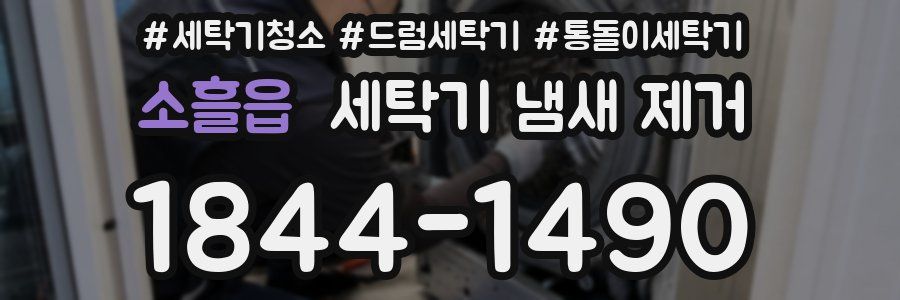 소흘읍 세탁기 냄새 제거