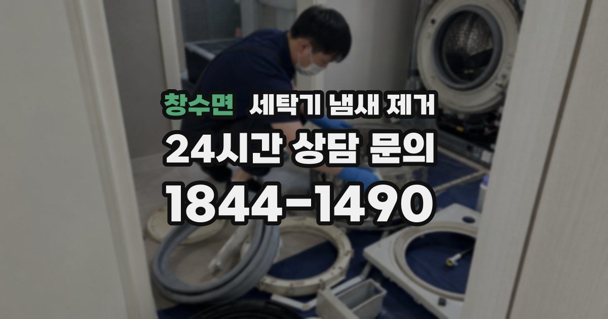 창수면 세탁기 냄새 제거