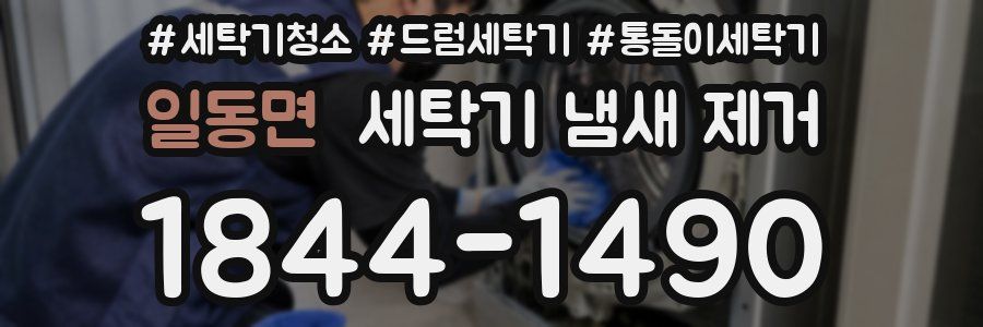 일동면 세탁기 냄새 제거