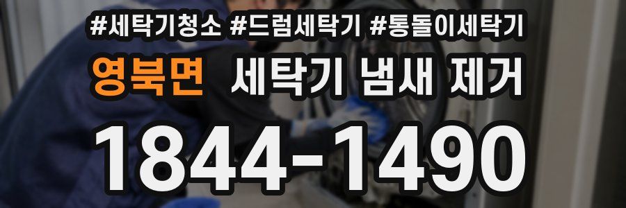 영북면 세탁기 냄새 제거