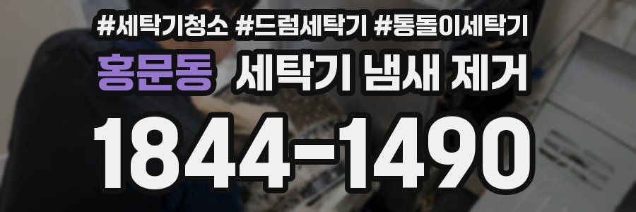 홍문동 세탁기 냄새 제거