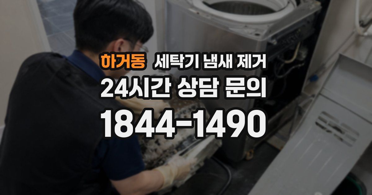 하거동 세탁기 냄새 제거
