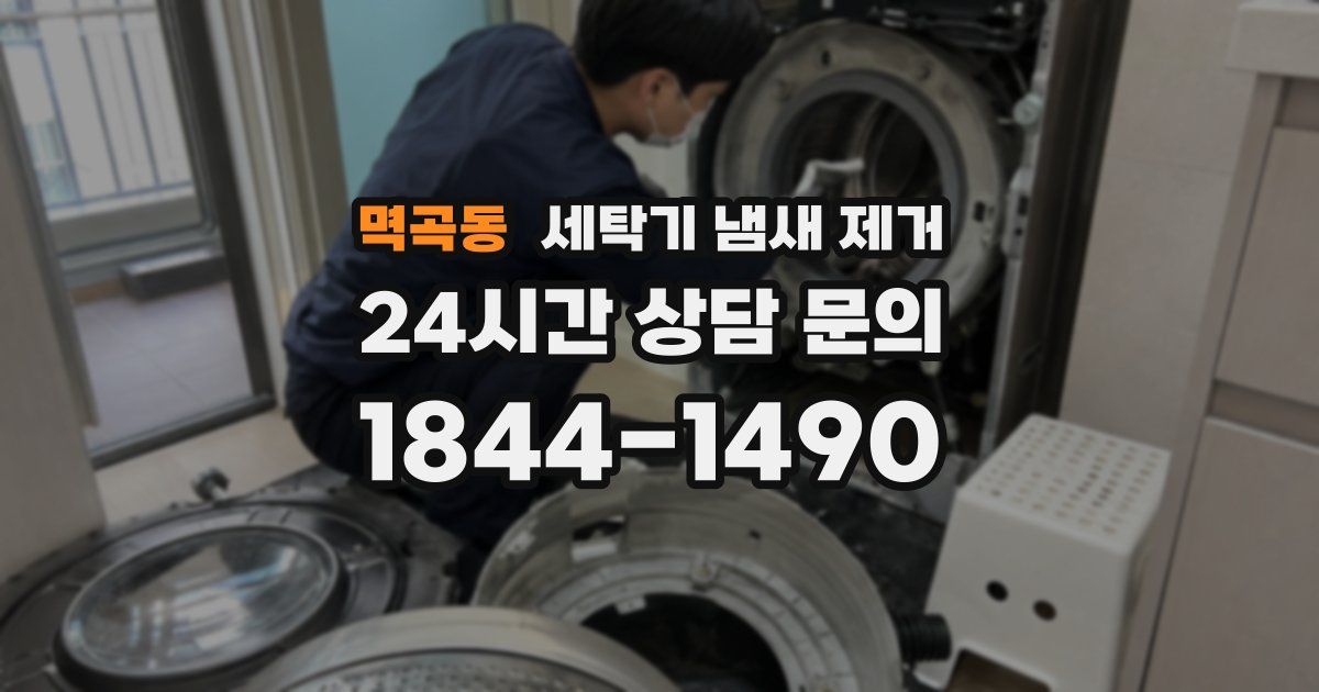 멱곡동 세탁기 냄새 제거