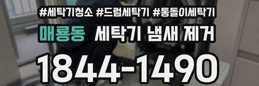 매룡동 세탁기 냄새 제거