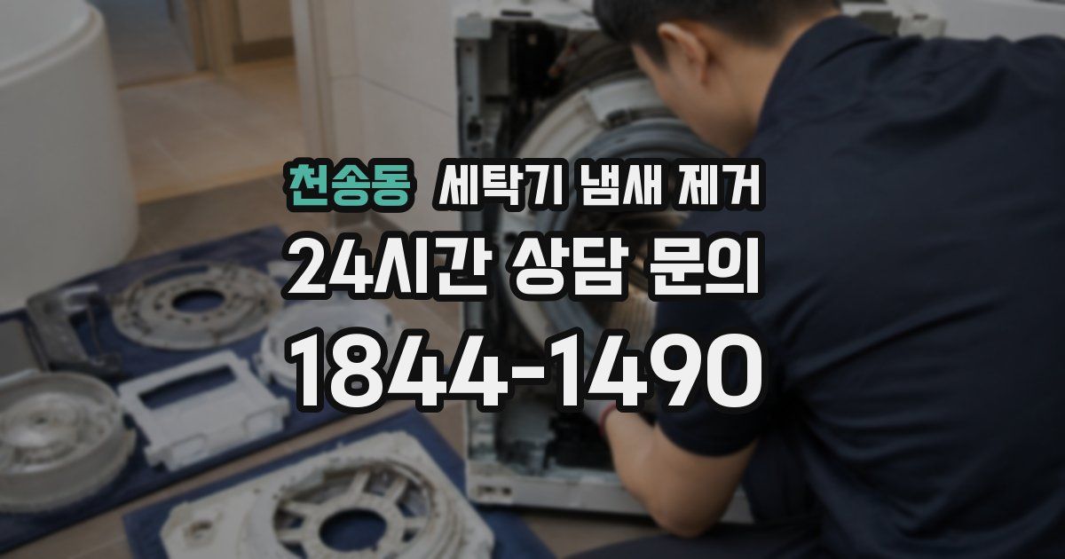 천송동 세탁기 냄새 제거