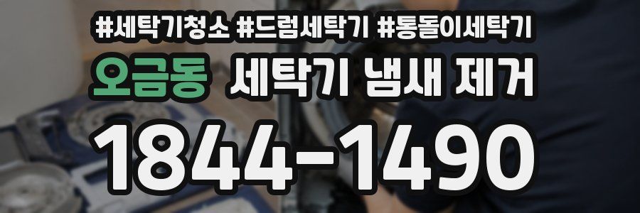 오금동 세탁기 냄새 제거