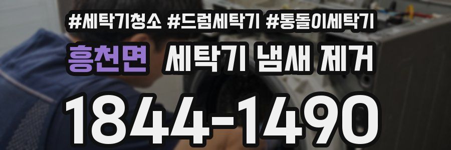 흥천면 세탁기 냄새 제거