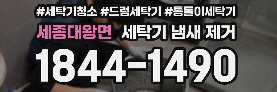 세종대왕면 세탁기 냄새 제거