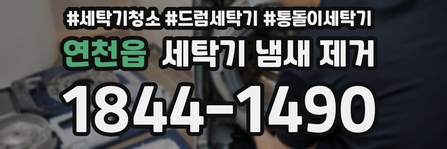 연천읍 세탁기 냄새 제거