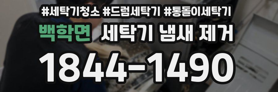 백학면 세탁기 냄새 제거