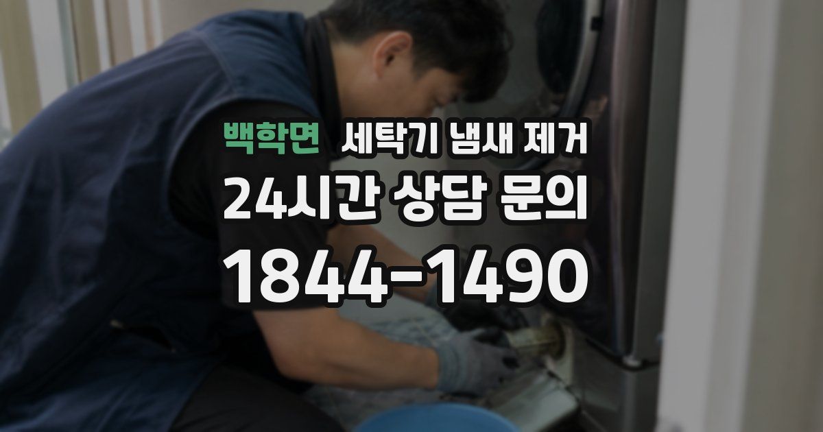 백학면 세탁기 냄새 제거