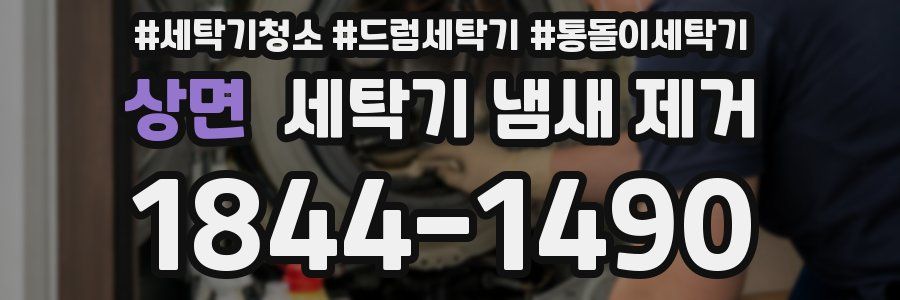 상면 세탁기 냄새 제거