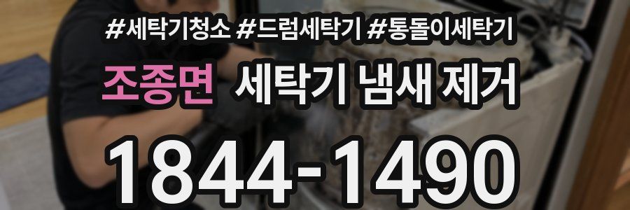 조종면 세탁기 냄새 제거