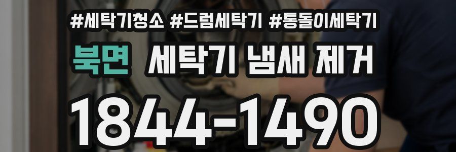 북면 세탁기 냄새 제거