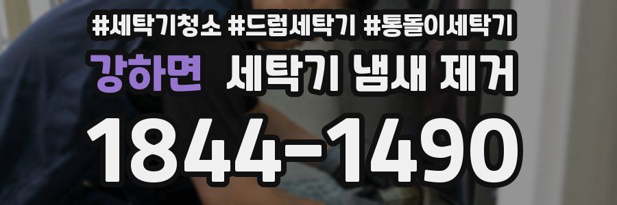 강하면 세탁기 냄새 제거